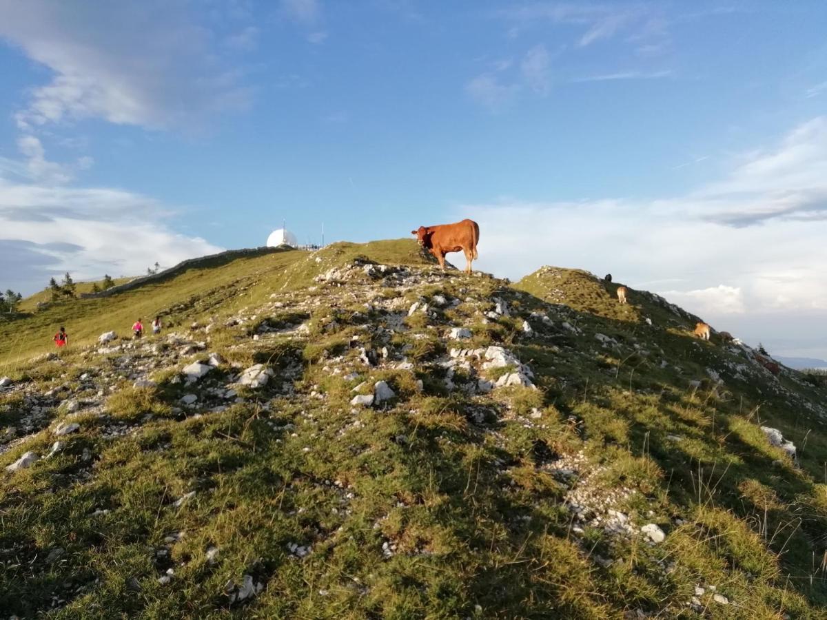 Cahute De Montagne Pour Profiter Du Haut Jura Premanon Luaran gambar