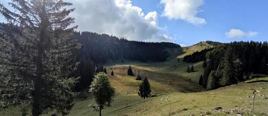 Cahute De Montagne Pour Profiter Du Haut Jura Premanon Luaran gambar